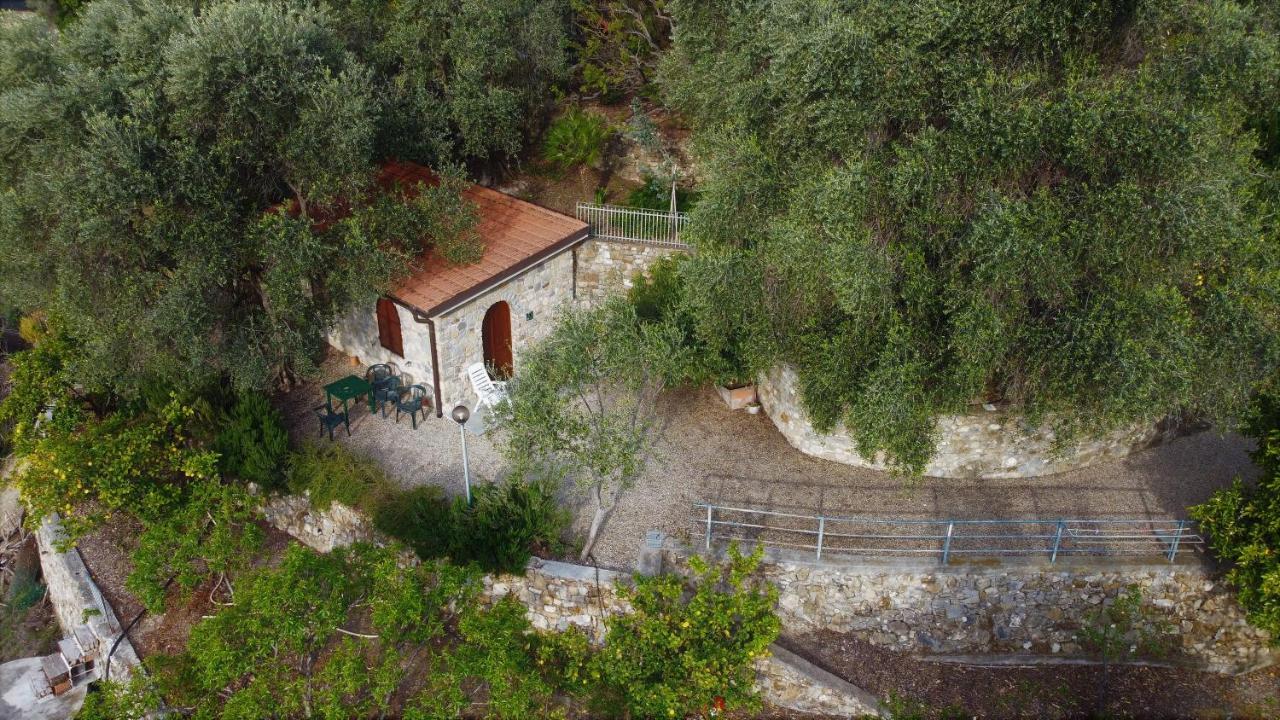 U Ciousu By Ligurian Life Appartamenti In Agriturismo Vallebona Экстерьер фото