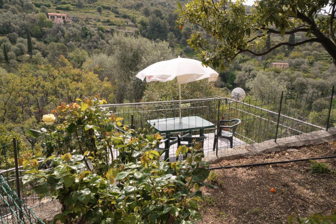 U Ciousu By Ligurian Life Appartamenti In Agriturismo Vallebona Экстерьер фото