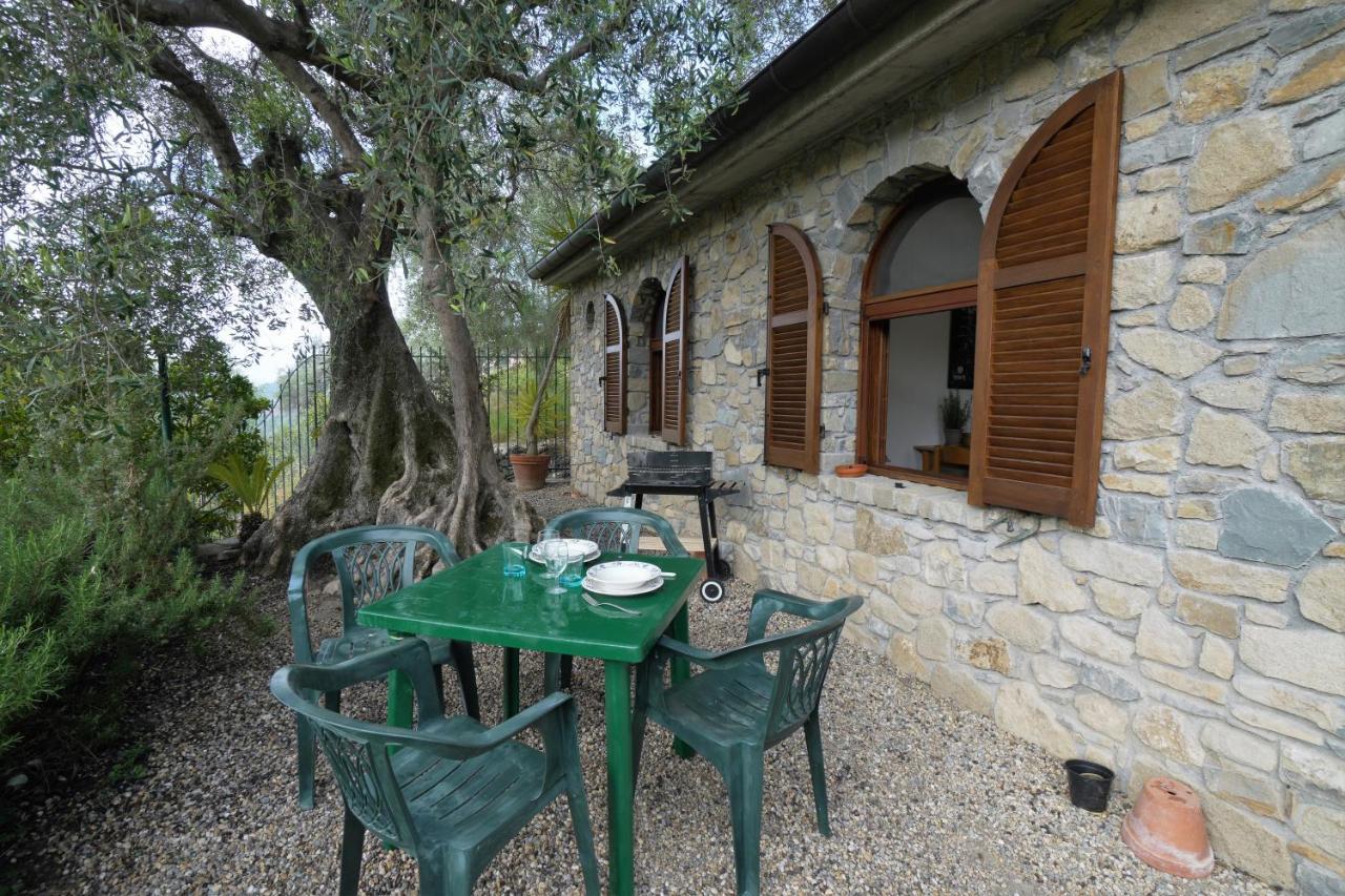 U Ciousu By Ligurian Life Appartamenti In Agriturismo Vallebona Экстерьер фото