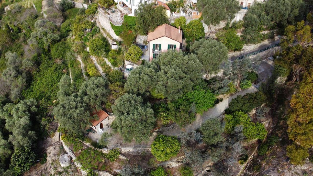 U Ciousu By Ligurian Life Appartamenti In Agriturismo Vallebona Экстерьер фото