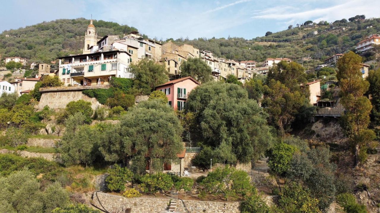 U Ciousu By Ligurian Life Appartamenti In Agriturismo Vallebona Экстерьер фото